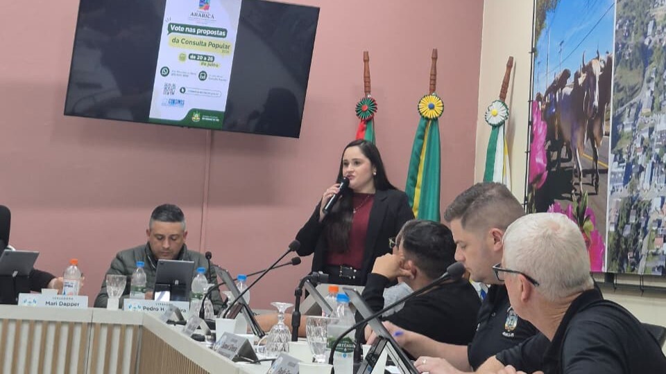 Apresentação de informações sobre a Consulta Popular 2026