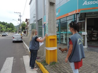 Fotos